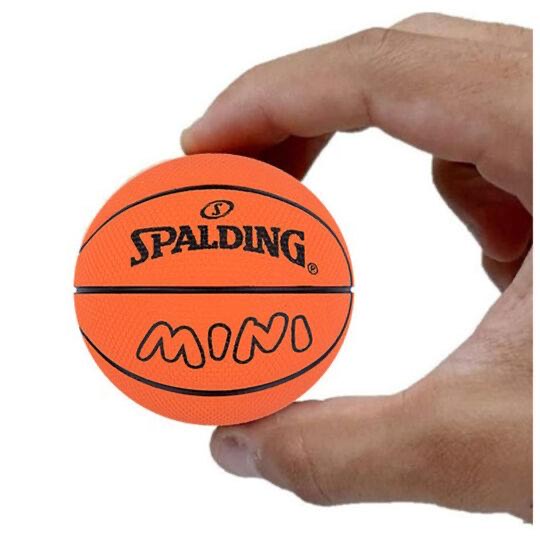 Spalding High Bounce Mini Basketball – Ernie's Sports Experts