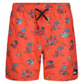 Quiksilver Everyday Mix Volley 15 Boys' Boardshorts