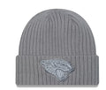 NFL Knit Colour Pack Grey Toque