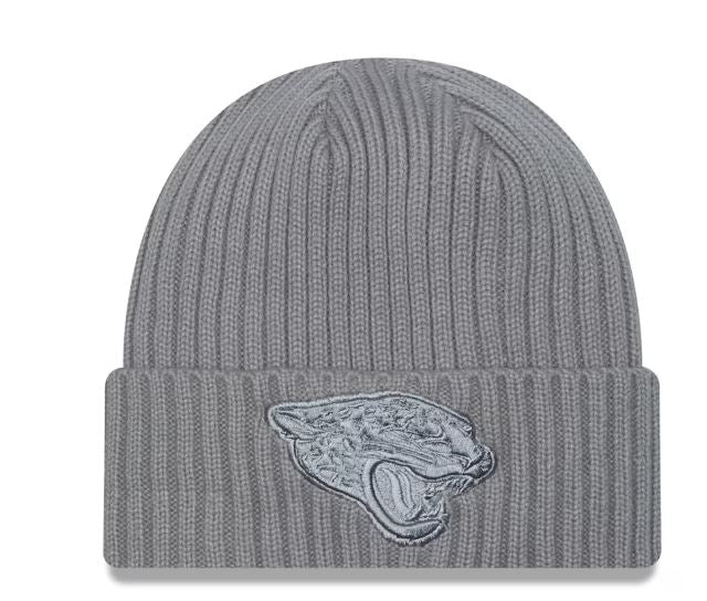NFL Knit Colour Pack Grey Toque