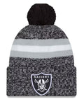 NFL 2023 Sideline Sport Knit Toque
