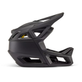 Proframe Helmet