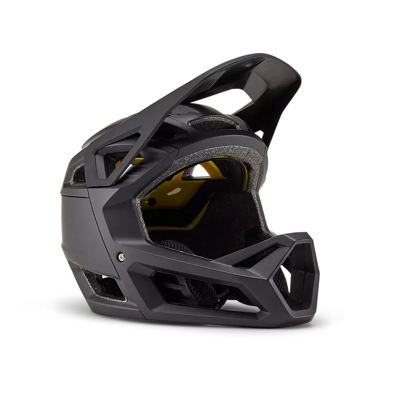Proframe Helmet