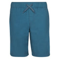 Boys' Kitson Beach Board Shorts