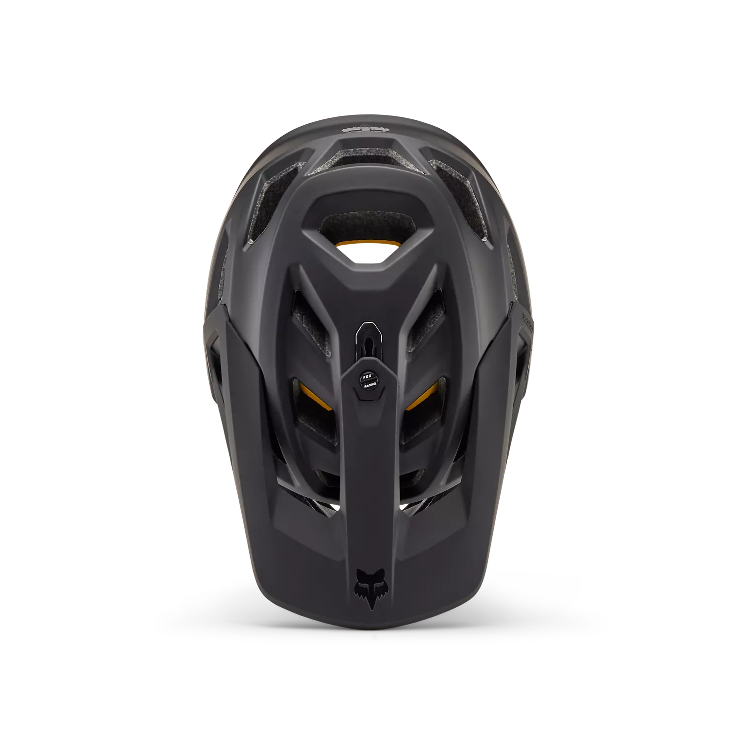Proframe Helmet