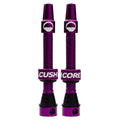 Cush Core HI-FLO Valves