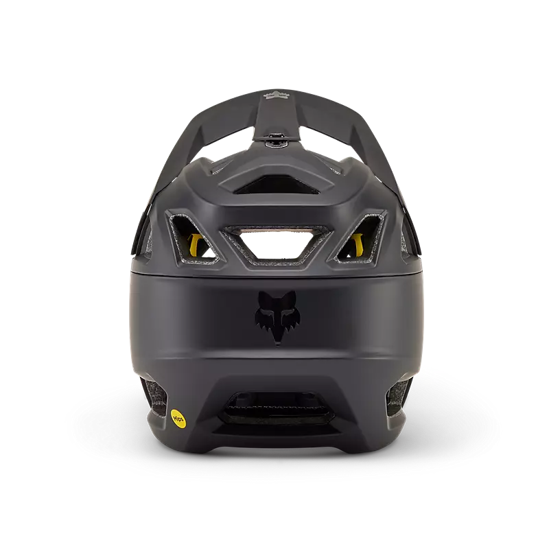 Proframe Helmet