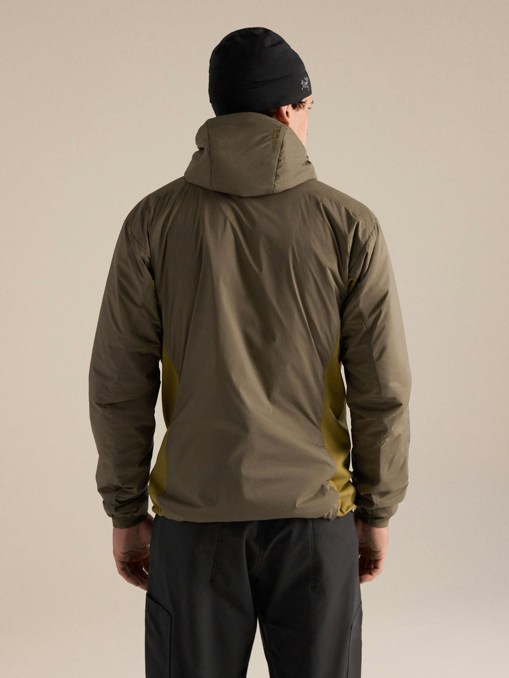 Arc'teryx Men's Atom Hoody - Mongoose/Bracken - back
