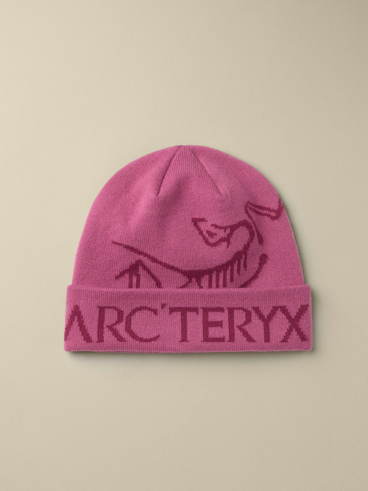 Arc'teryx Bird Word Toque - LT RENEGADE / RENEGADE front