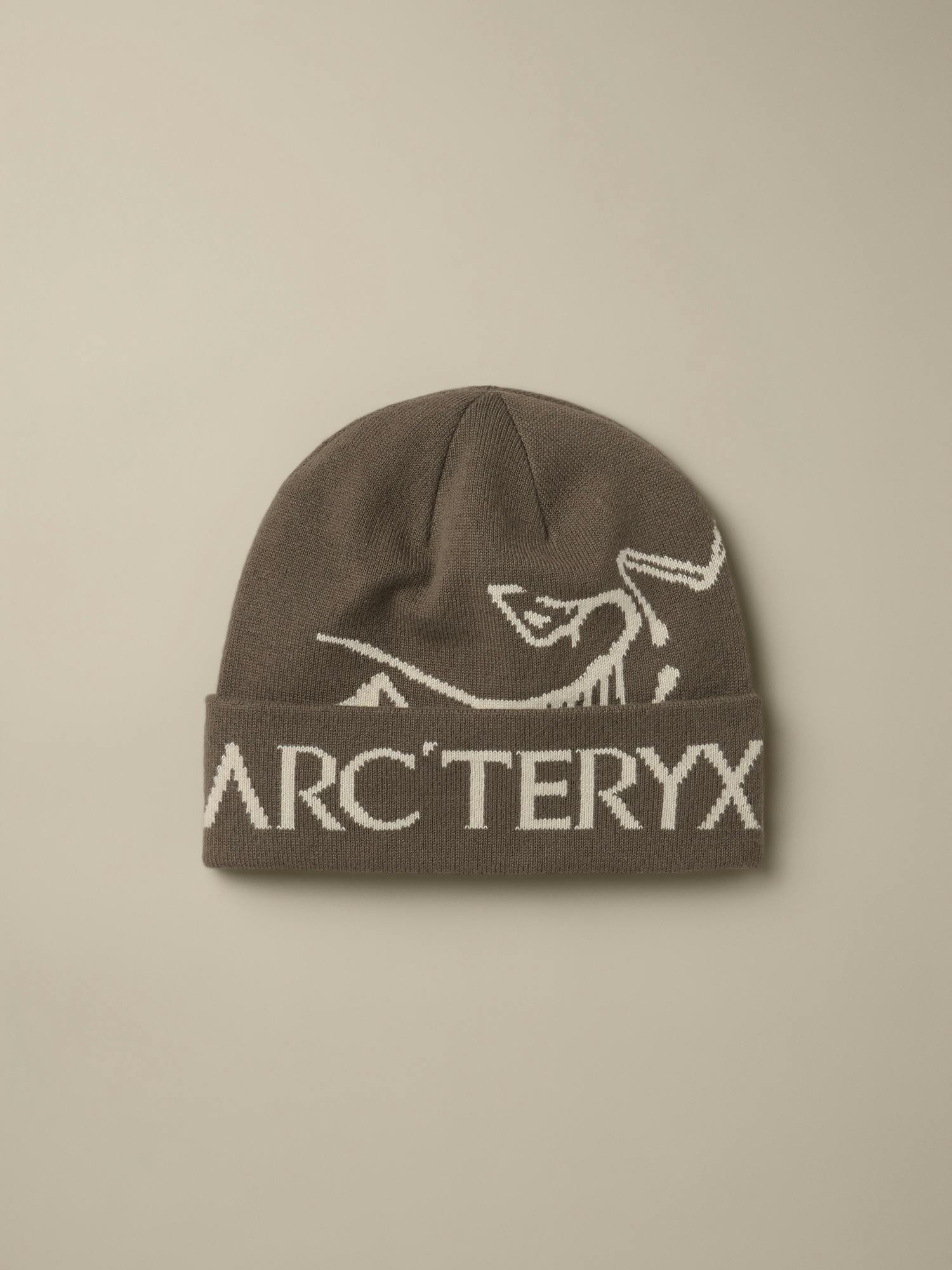 Arc'teryx Bird Word Toque - Mongoose / Sea Salt - front