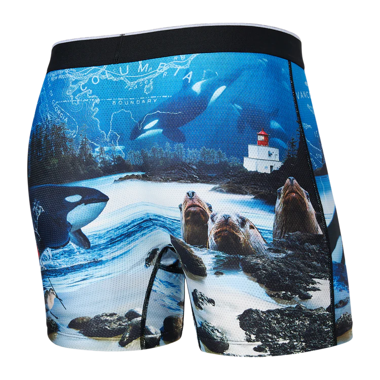 Volt Boxer Brief - Vancouver Island Multi