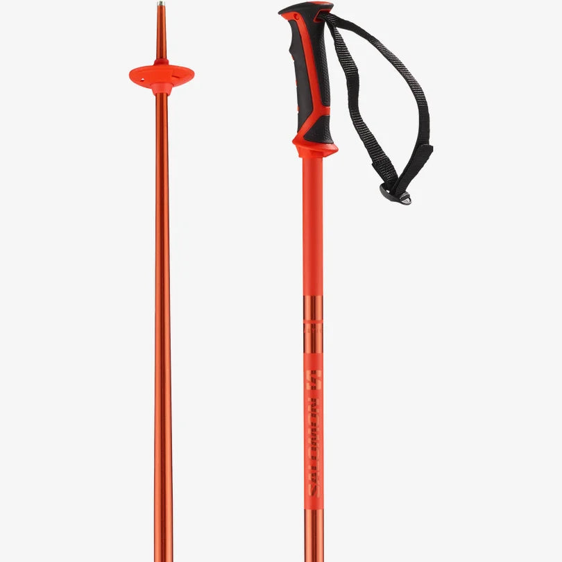 Salomon Unisex Arctic Alpine Poles