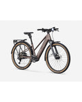 Trek FX+ 2 Midstep Throttle Electric Bike - Bronze Age, front