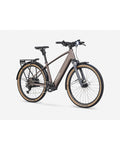 Trek FX+ 2 Step-Over Throttle Electric Bike - Bronze Age, front