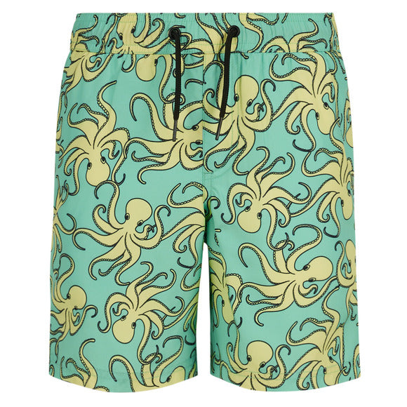 Ripzone Boy's Terrance Boardshorts