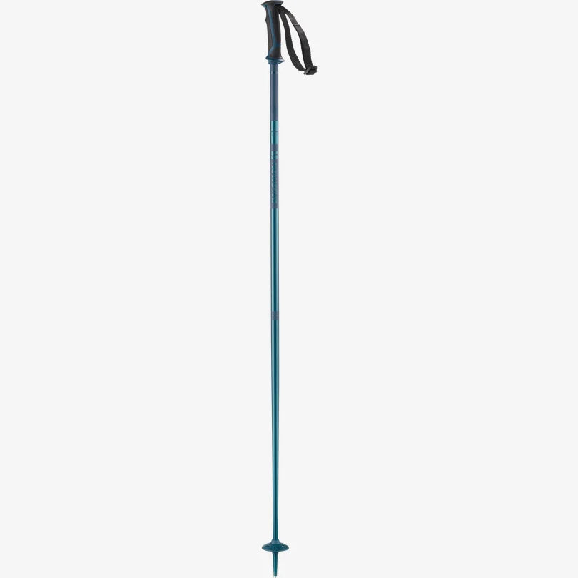 Salomon Unisex Arctic Alpine Poles