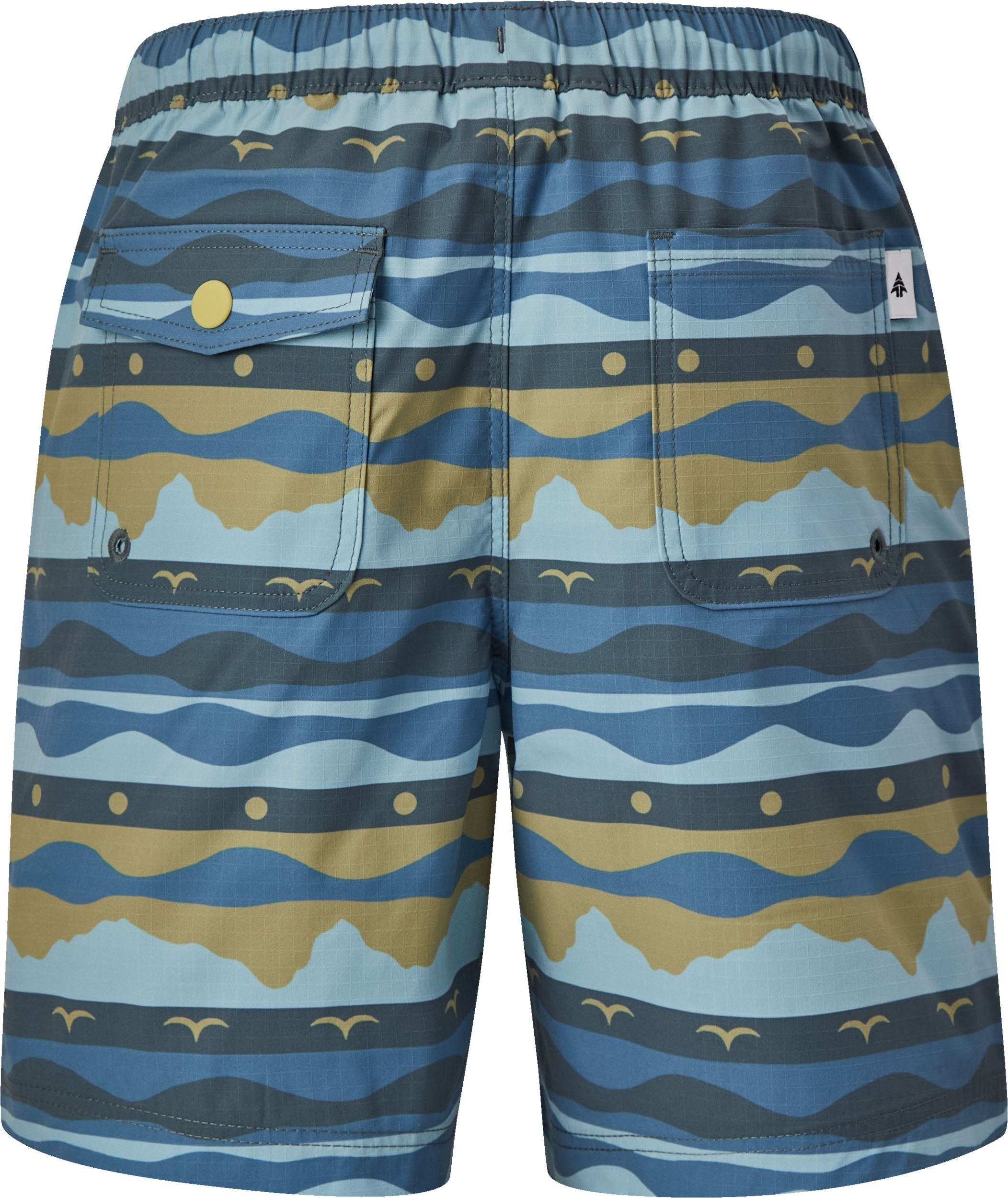 Boy's Stripe Jervis River Shorts