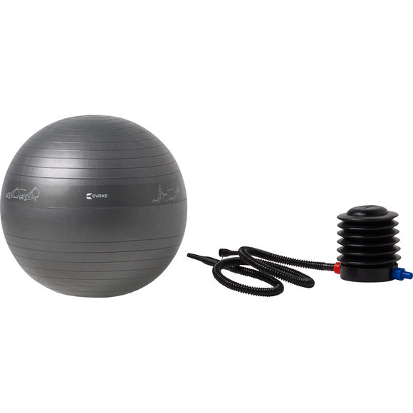 65 cm Exercise Ball