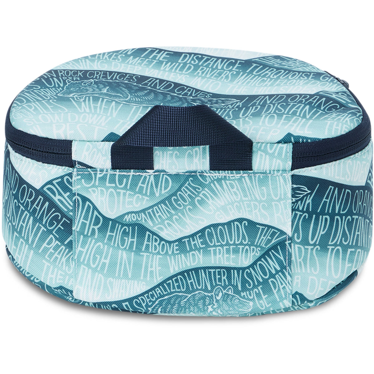 Dakine Goggle Stash - Kingdom Mountains, back view