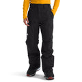 The North Face Men’s Freedom Insulated Pants