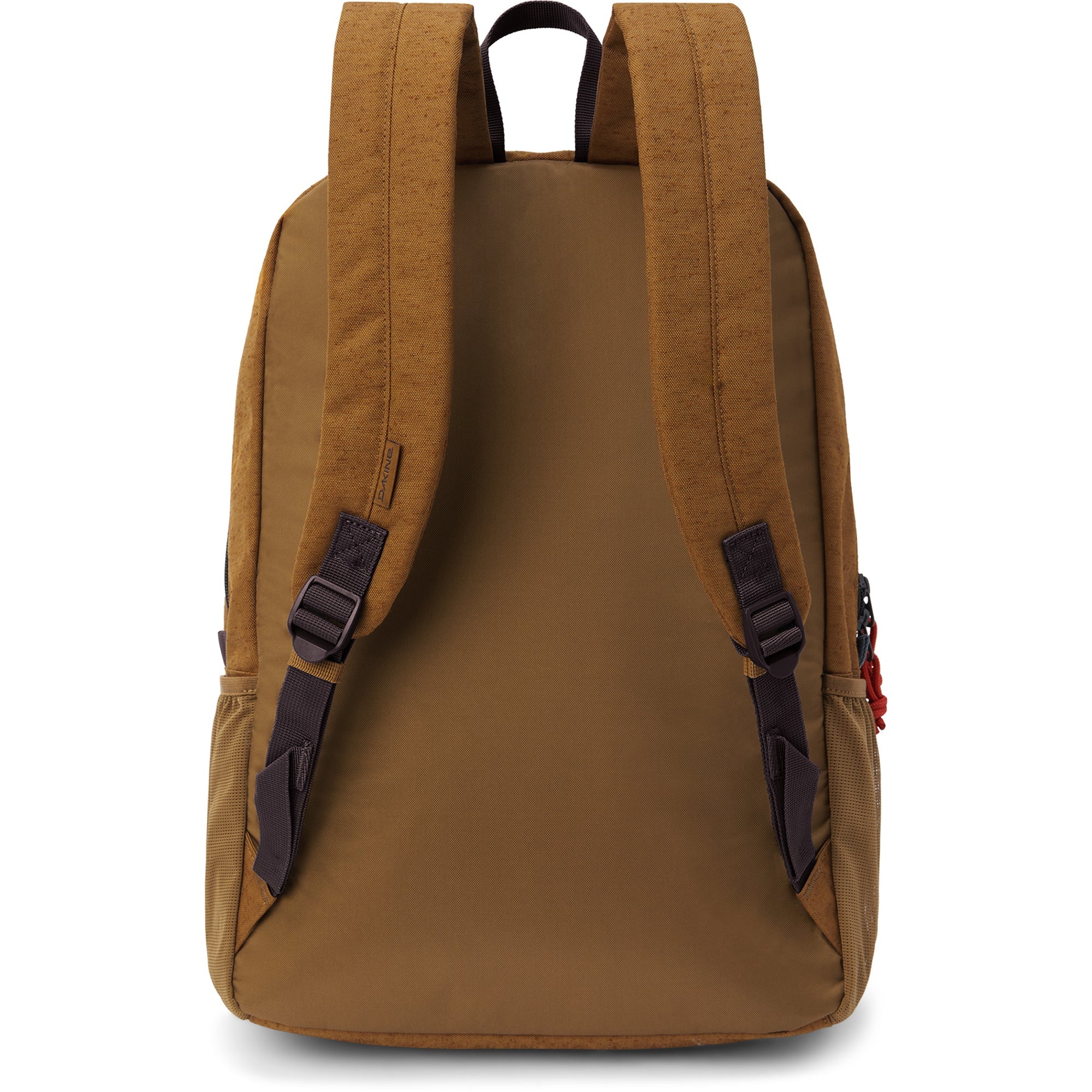 Educated Backpack 30L