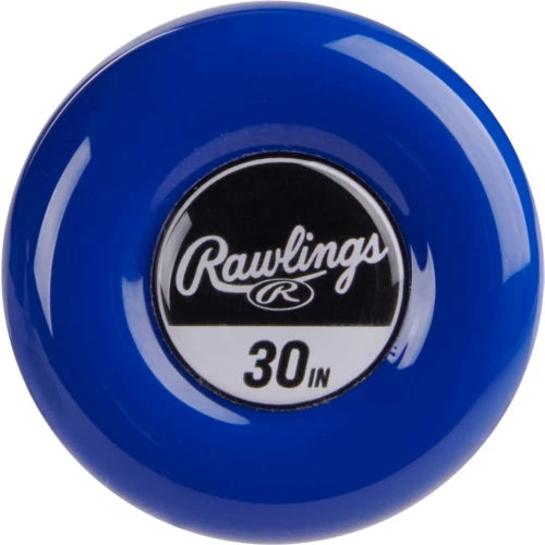 Youth Raptor USA Baseball Bat (-10) - 2025