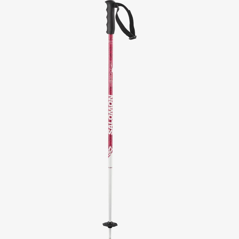 Salomon Junior Kid's Brigade Alpine Poles