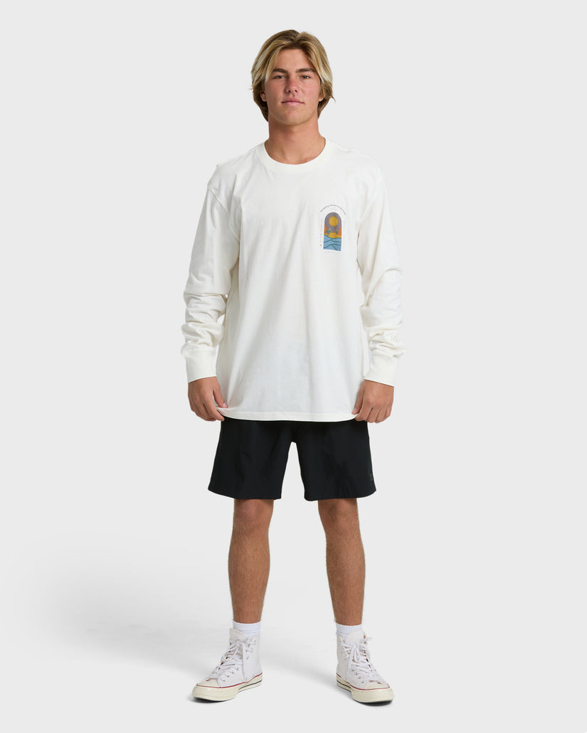 Billabong Men's New View Adiv Premium Long Sleeve T-Shirt