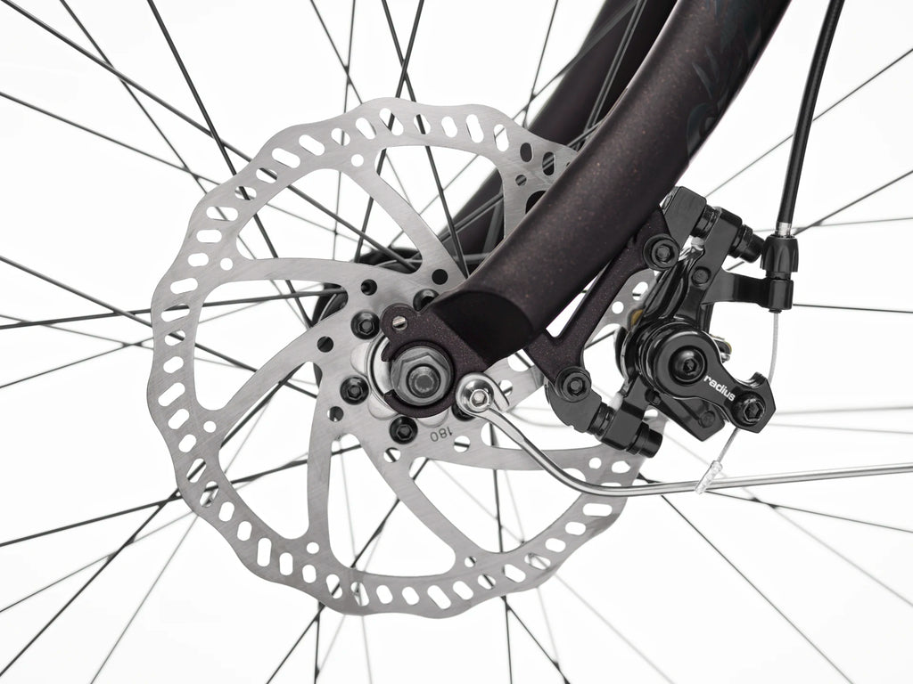 Kakau Cruiser Go! Step Over Electric Bike