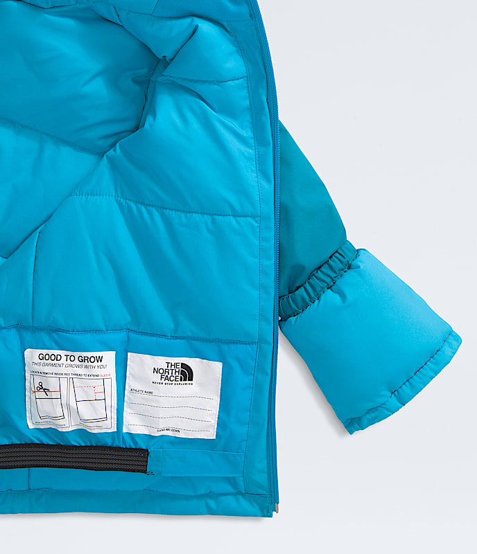 The North Face Kids' Freedom Insulated Jacket