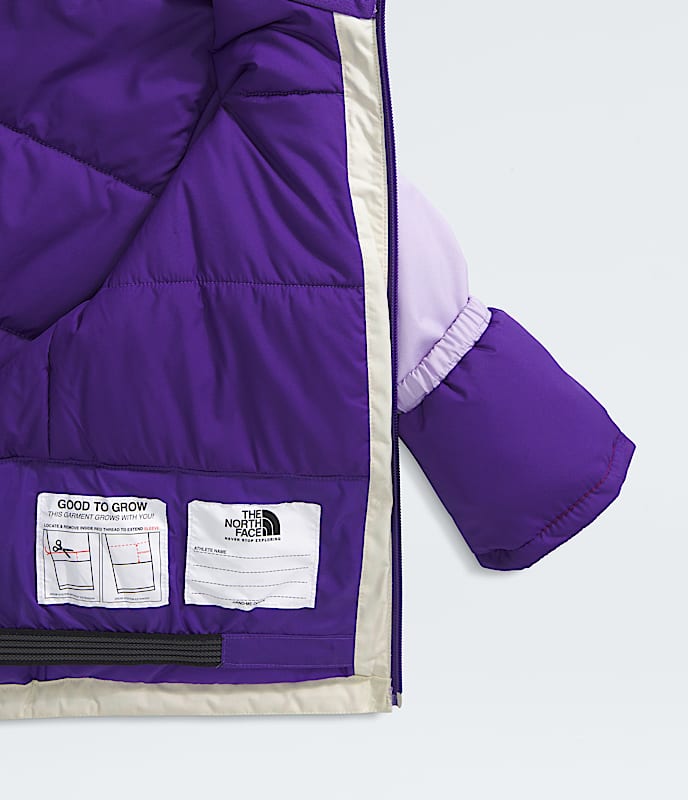 The North Face Kids' Freedom Insulated Jacket