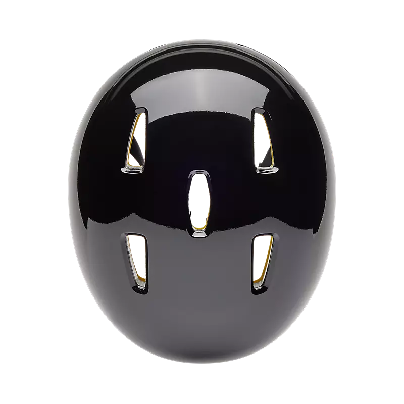 Flight Helmet