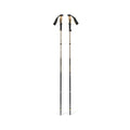 Black Diamond Trail Vista FLZ Trekking Poles