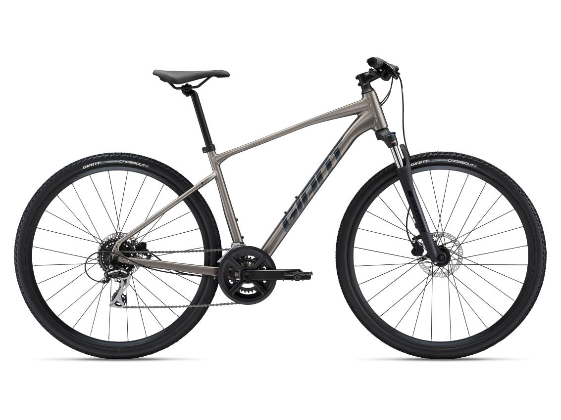 Giant Roam Disc 3