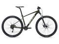 Talon 2 (2022) XC Bike