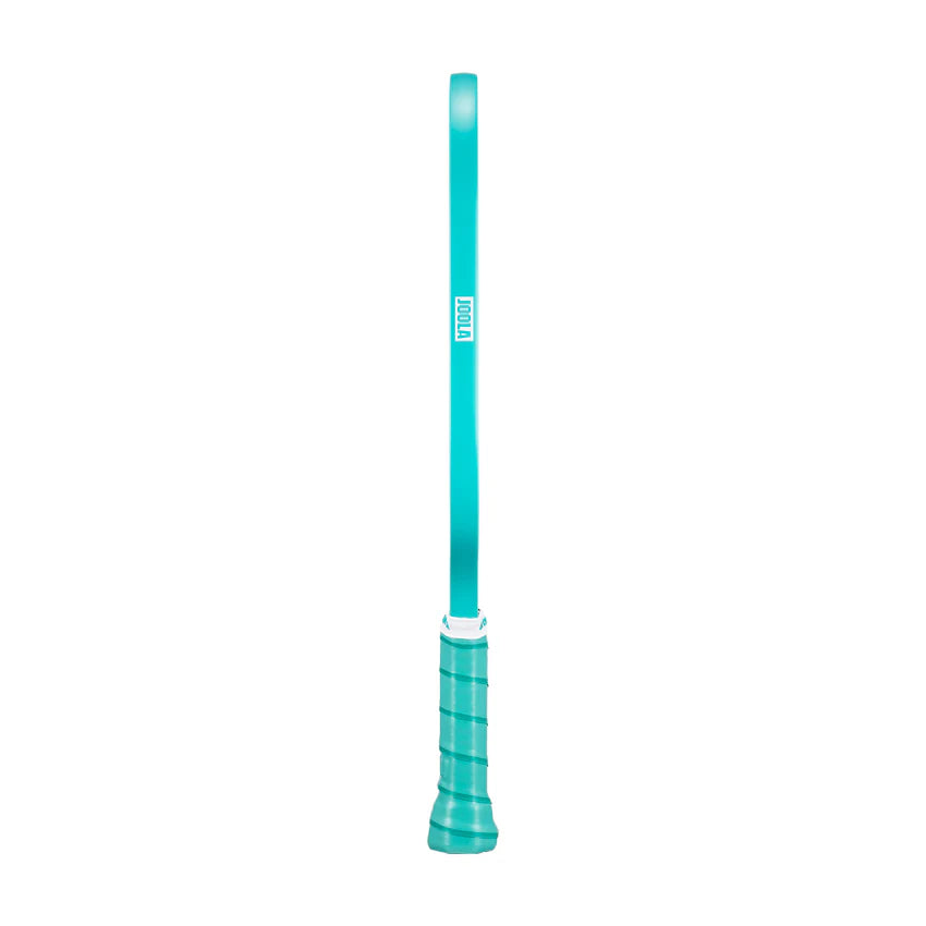 Joola Dash Pickleball Paddle