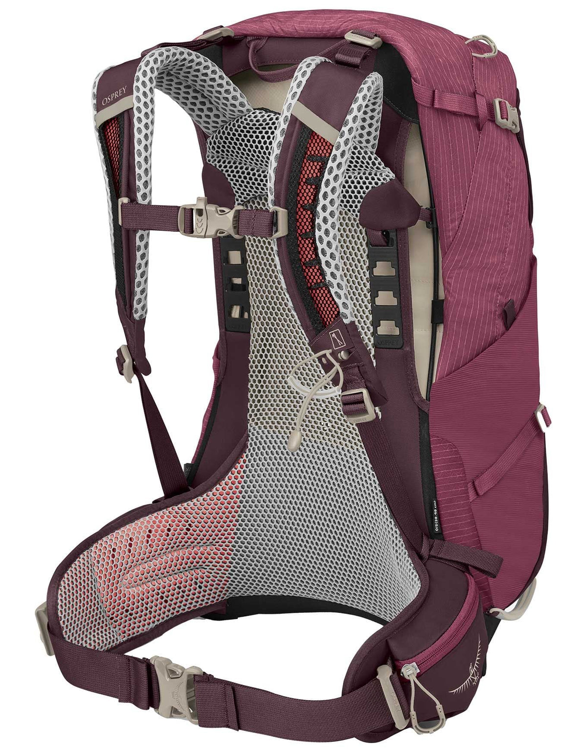 Osprey Sirrus 24 Women's Backpack - Purple