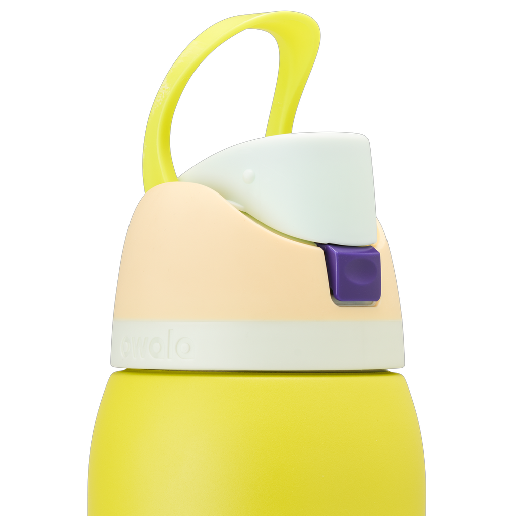 Owala FreeSip® Water Bottle - 40oz - LEMON LIMEADE