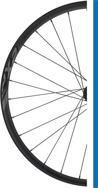 Giant P-X2 700c rear wheel