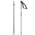 Salomon Polar unisex alpine ski poles