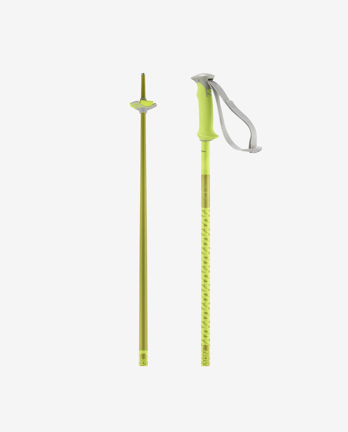 Salomon Men's Polar Ski Poles