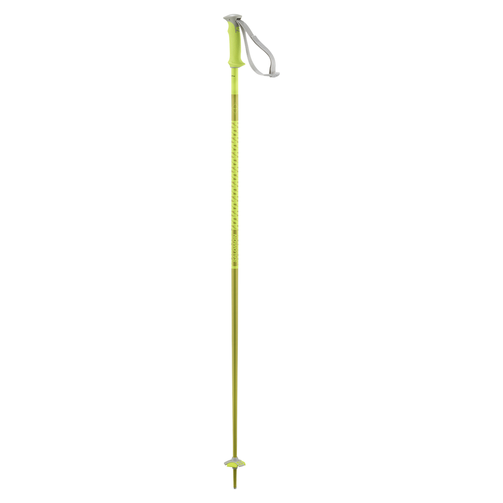 Salomon Polar unisex alpine ski poles