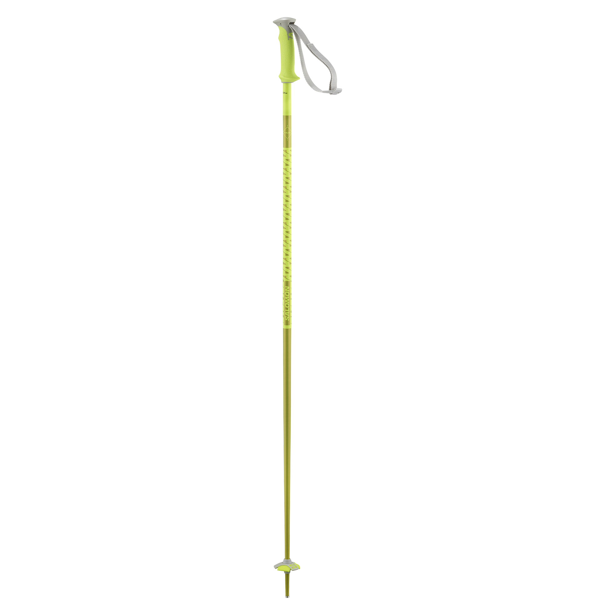 Salomon Polar unisex alpine ski poles
