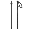 Salomon Polar Access unisex alpine ski poles