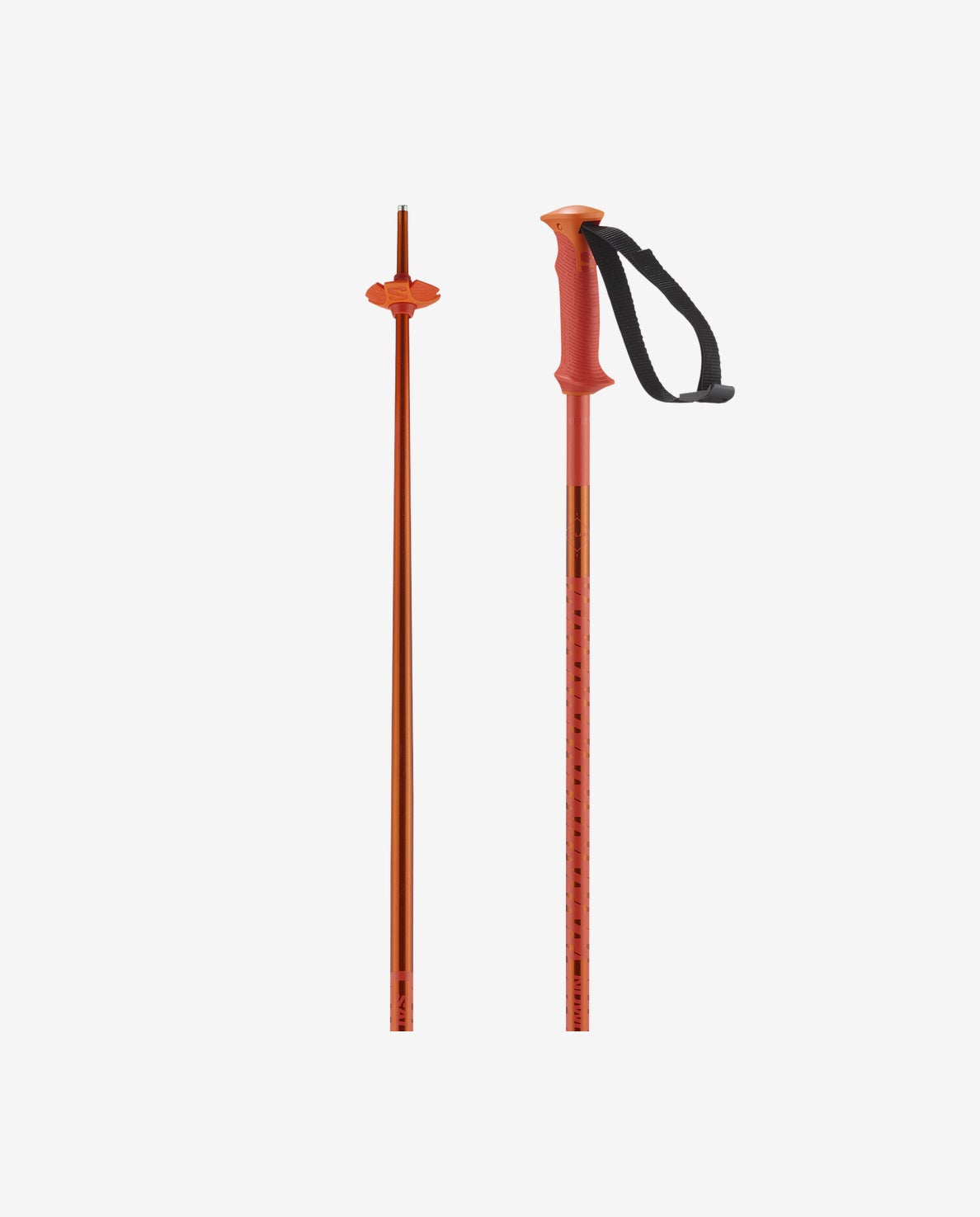 Salomon Men's Polar Ski Poles