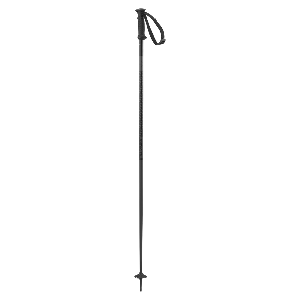 Salomon Polar Access unisex alpine ski poles