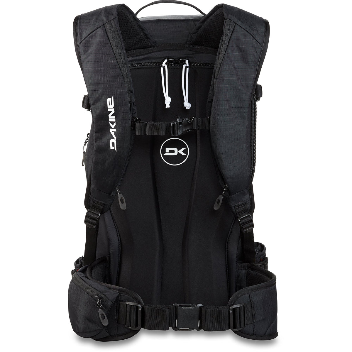 Dakine Poacher 22L Backpack - Black, back view