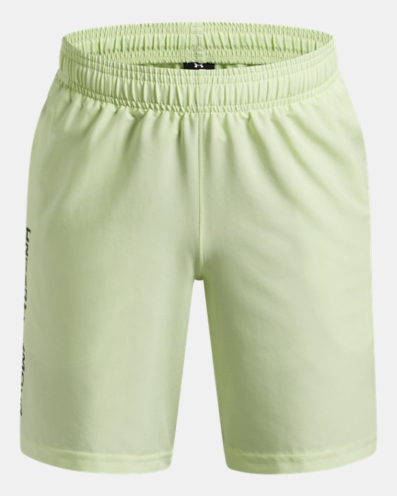 Under Armour Boy's Tech Woven Wordmark Shorts