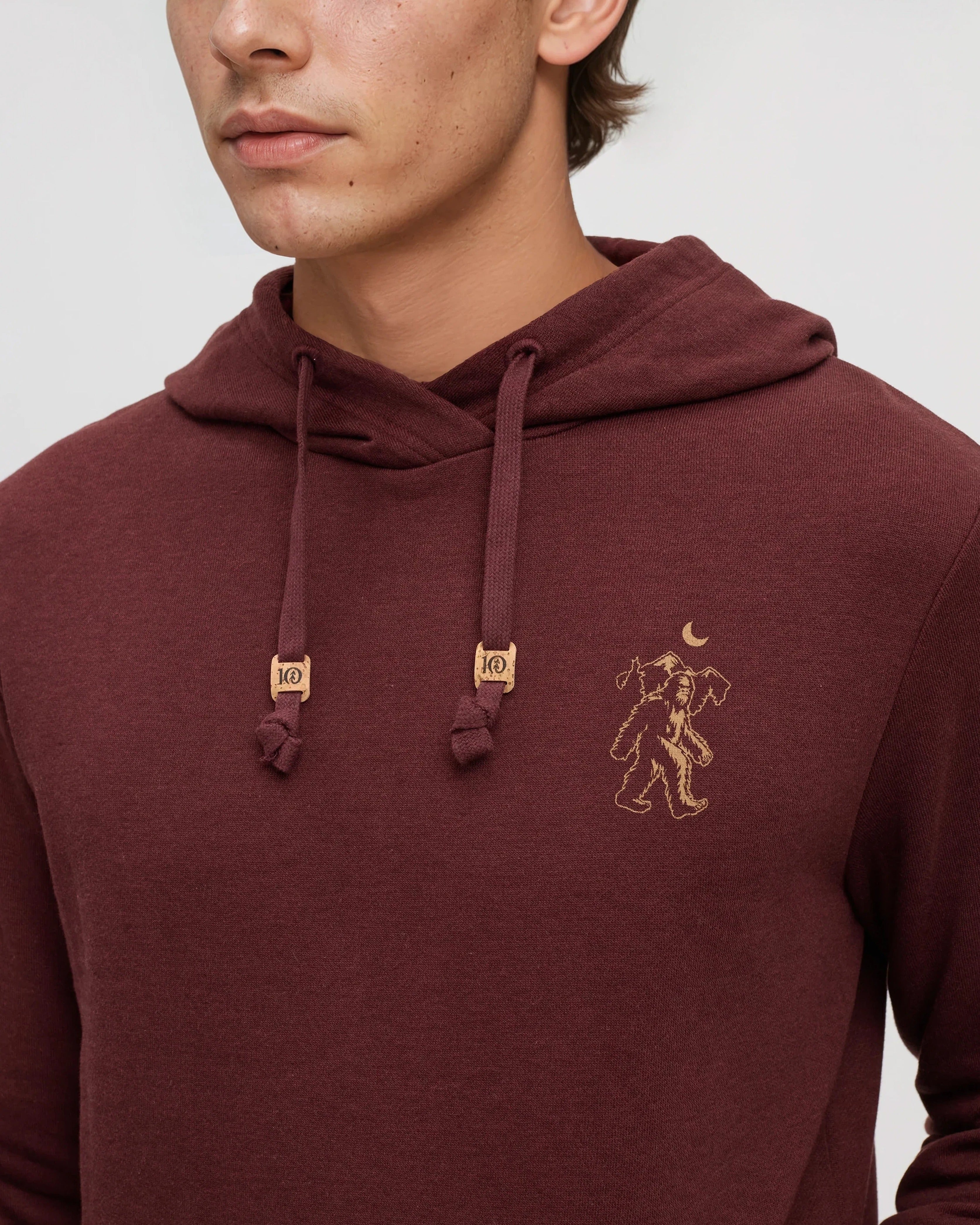 Tentree Sasquatch Sighting Hoodie - RED CHESTNUT HAZELNUT