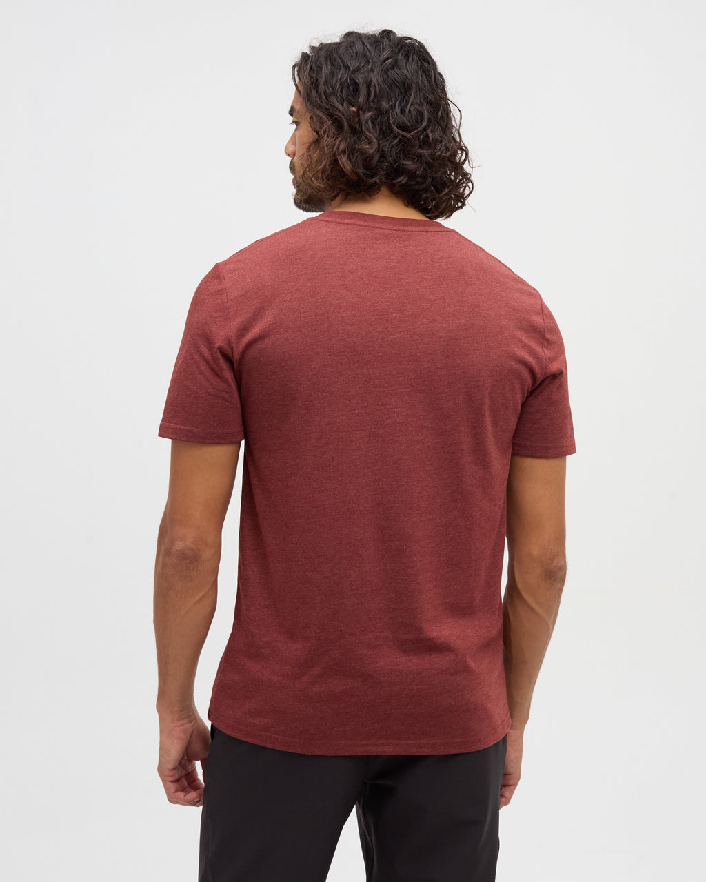 Tentree Sasquatch T-Shirt Cottage Red Heather Mountain Bike - back